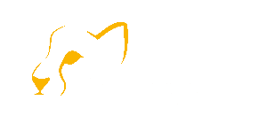 GoThombi